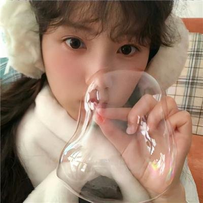 摇滚藏獒